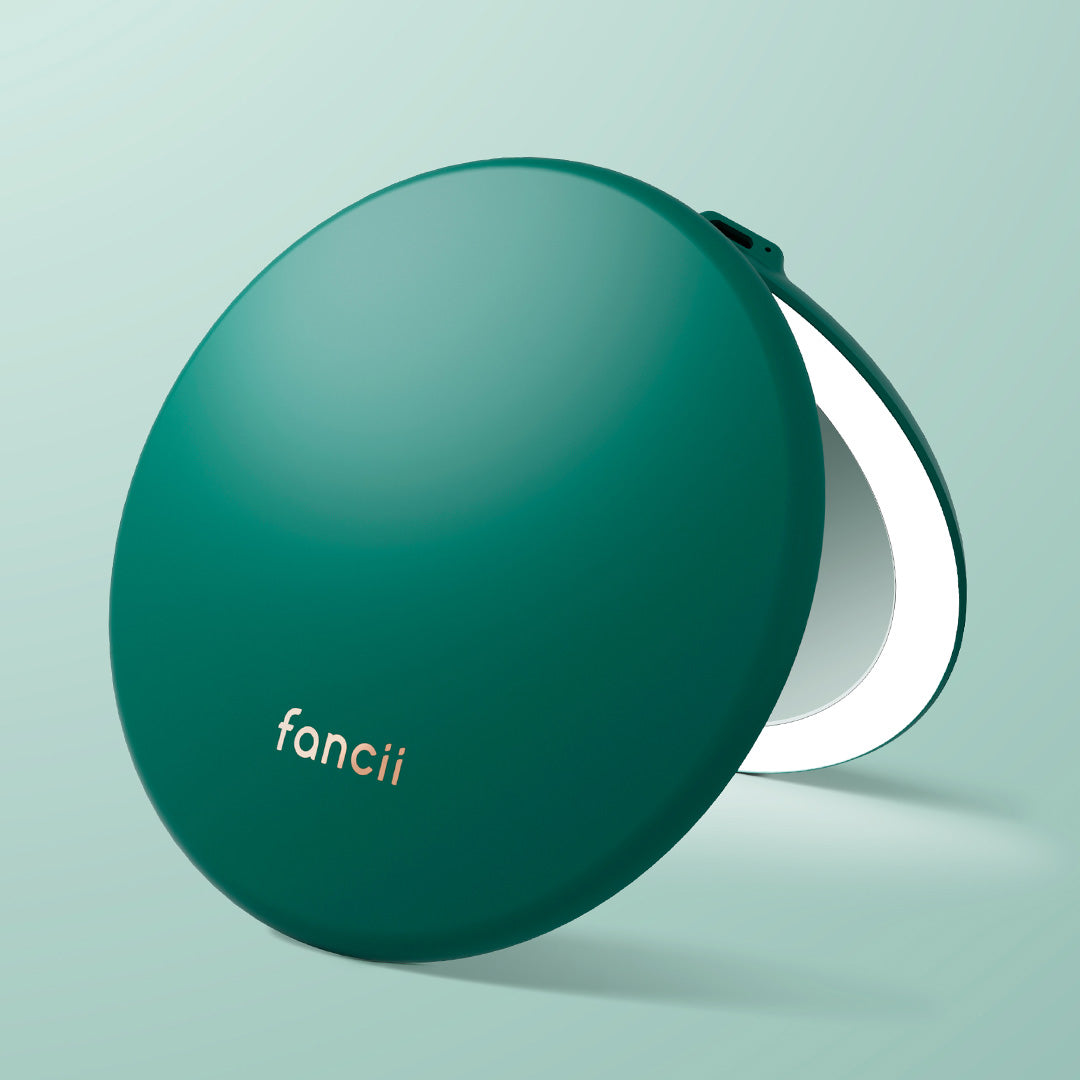 Taylor LED Compact Mirror